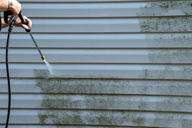 Affordable Siding Repair and Maintenance Services in Hidden Meadows, CA